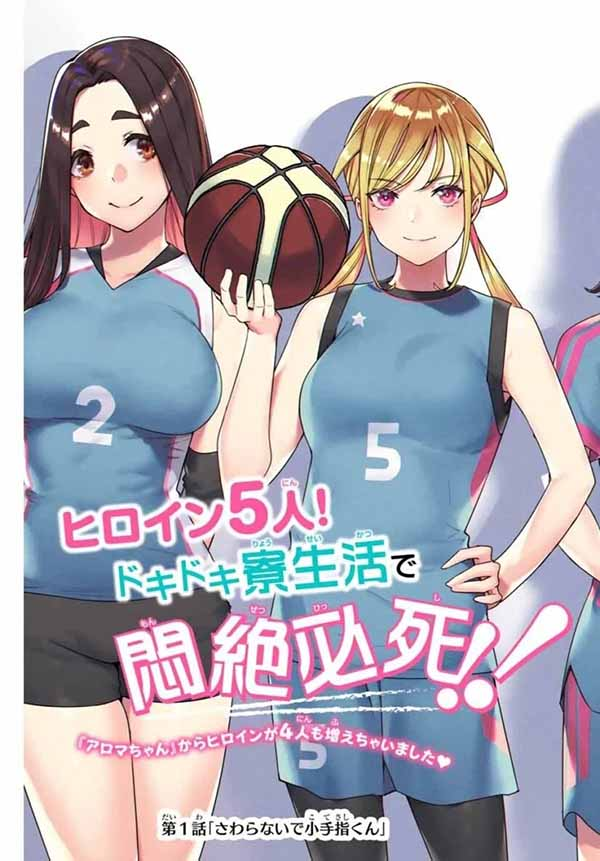 Sawaranaide Kotesashi-kun