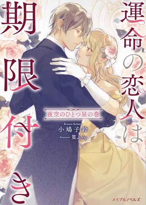 Unmei no Koibito wa Kigentsuki