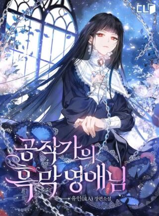 The Lady's Dark Secret